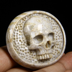 Coral Fossil Carved Crystal Skull Buckle