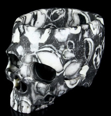 Giant 8.0" Sea Shell Marble Carved Crystal Skull Bowl Sculpture