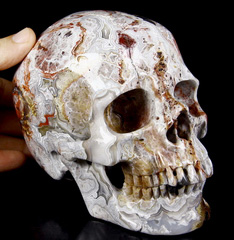 Gemstone Huge 6.2" Crazy Lace Agate Carved Crystal Skull,Super Realistic