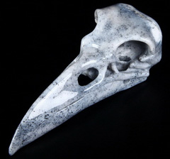 Huge 4.8" Agate Carved Crystal Raven Skull