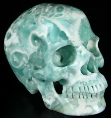 Gemstone 5.9" Aragonite Carved Crystal Skull, Super Realistic