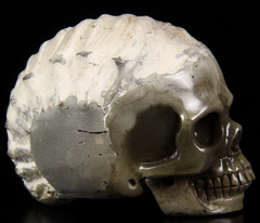 2.6" Ammonite Fossil Carved Crystal Skull