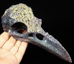Huge 7.8" Purple Grape Agate Carved Crystal Raven Skull