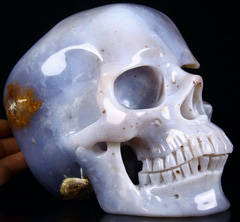 Amazing Geode Lifesized 7.3" Blue Chalcedony Carved Crystal Geode Skull, Super Realistic
