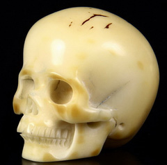 1.7" Tagua Nut Carved Crystal Skull