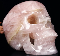 Titan 12.4" Rose Quartz Carved Crystal Skull, Super Realistic