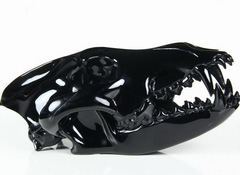 Huge 8.9" Black Obsidian Carved Crystal Wolf Skull