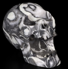 Huge 5.2" Sea Shell Marble Carved Crystal Screaming Laughing Skull, Realistic, Crystal Healing