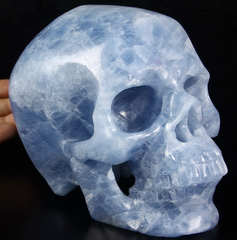 Lifesized 6.9" Blue Calcite Carved Crystal Skull, Super Realistic