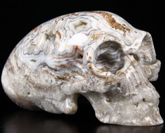 Giant 6.3" Crazy Lace Agate Carved Crystal Skull
