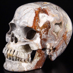 Huge 6.1" Red Crazy Lace Agate Carved Crystal Skull, Super Realistic