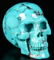 1.7" Turquoise Carved Crystal Skull, Realistic