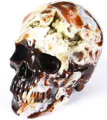 RARE GEODE LIFESIZED 6.8" Black Zebra Agate Carved Crystal Skull Super Realistic