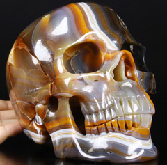 Lifesized 7.7" Red Agate Carved Crystal Skull, Realistic