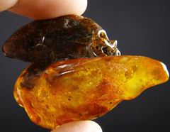 Original Design 2.2" Baltic Amber Carved Crystal Skull, Realistic