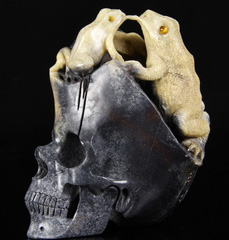Original Design 5.2" Petrified Wood Carved Crystal Skull with Toads & Frog,Super Realistic