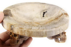 Original Design 6.7" Petrified Wood Carved Crystal Skull Plate