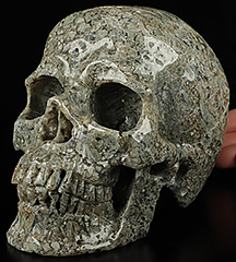 Huge 6.0" Brown Ocean Agate Carved Crystal Skull, Super Realistic