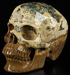 GEODE Huge 5.0" Ocean Jasper Carved Crystal Skull,Super Realistic, Crystal Healing