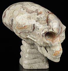 3.9" Crazy Lace Agate Carved Crystal Elongated Mayan Alien Skull & Spine, Crystal Healing