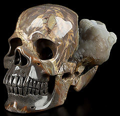 Lifesized 6.5" Dinosaur Egg Agate Carved Crystal Geode Skull, Super Realistic
