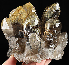 Loving Harmony - Rutilated Quartz Druse Carved Crystal Skulls Sculpture with Black Obsidian Stand