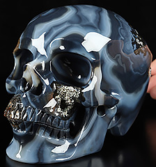 Super Realistic! Lifesized 6.1