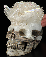 Rainbow 5.1" Rainbow Aura Quartz Druse Carved Crystal Skull, Crystal Healing