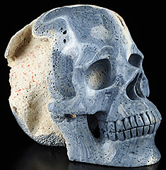 Nice 5.1" Blue Sponge Coral Carved Crystal Skull Sculpture,Super Realistic, Crystal Healing