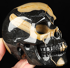 5.0" Black Agate Carved Crystal Skull, Realistic, Crystal Healing