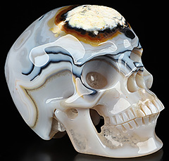 5.2" Premium Brazilian Agate Hand Carved Crystal Skull, Super Realistic, Crystal Healing