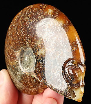 3.5" Ammonite Fossil Carved Crystal Star Being, Female Alien