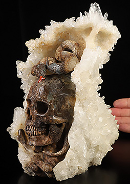 7.9" Quartz rock druse Hand Carved Crystal Skull & Snake Fine Art Sculpture, Crystal Healing
