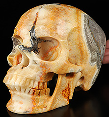Gemstone Super Realistic! Lifesized 7.0" Bumble Bee Jasper Hand Carved Crystal Skull, Crystal Healing