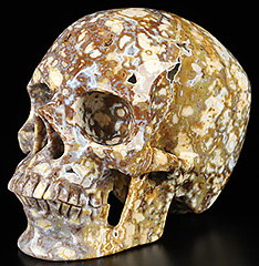 4.6" Brown Ocean Agate Hand Carved Crystal Skull, Realistic, Crystal Healing