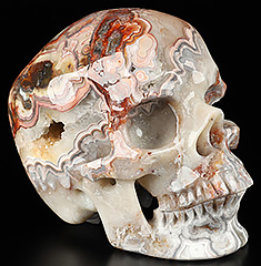 Gemstone 5.1" Red Crazy Lace Agate Hand Carved Crystal Skull, Super Realistic, Crystal Healing