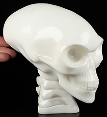6.5" White Jade Hand Carved Crystal Elongated Mayan Alien Skull with Spine Sculpture, Crystal Healing