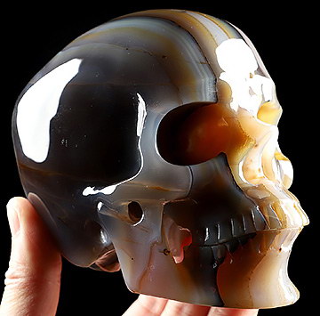 5.1" Premium Brazilian Agate Hand Carved Crystal Skull, Super Realistic, Crystal Healing
