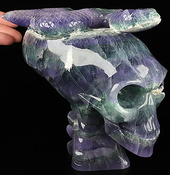 6.7" Fluorite Hand Carved Crystal Skull and Snake Fine Art Sculpture, Crystal Healing
