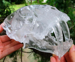AWESOME 7.1" Quartz Rock Crystal Carved Crystal Smilodon SABER-TOOTHED Tiger/Cat Skull