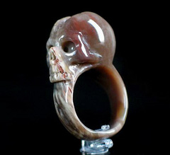 Petrified Wood Carved Skull Ring, Crystal, Size 9 , R11