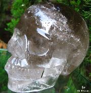 Giant 6.7" Smoky/Smokey Carved Crystal Skull, Realistic