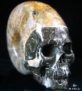 RARE Amazing Rainbows Biggest 6.8" Ammonite Fossil Carved Crystal Skull, Super Realistic 5.2LB, JUST FOR Zeltarah