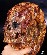 Oct 21, 2014 ACSAD (A Crystal Skull a Day) - Mortal Coil - Ammonite Fossil Carved Crystal Skull Sculpture