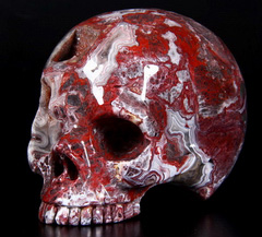 Huge 4.9" Red Crazy Lace Agate Carved Crystal Skull without jaw