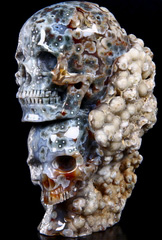 PARTICULAR 7.1" Ocean Jasper Carved Crystal Skull