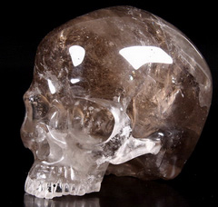 Huge 4.8" Smokey Quartz Rock Crystal Carved Crystal Skull, No Jaw