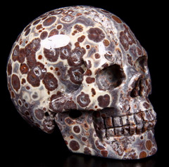 2.3" Asteroid Jasper Carved Crystal Skull, Realistic
