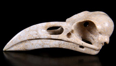 4.7" Coral Fossil Carved Crystal Raven Skull