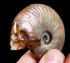 Iridescent 1.8" Ammonite Fossil Carved Crystal Skull, Realistic